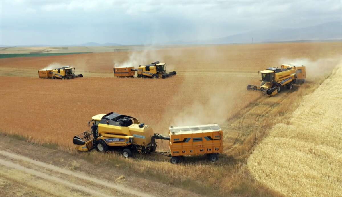 Taner bu yıl çiftçinin cebini dolduracak 9